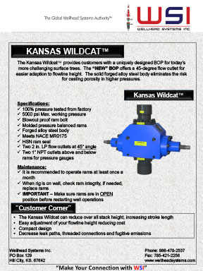 Kansas Wildcat