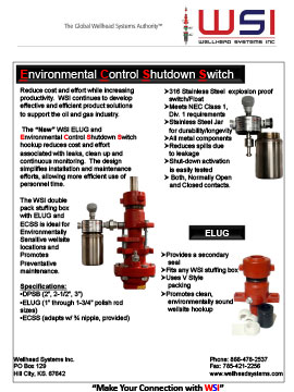 ECSS Flyer