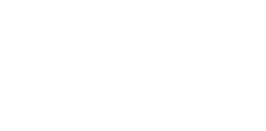WSI_reversed_logo.png