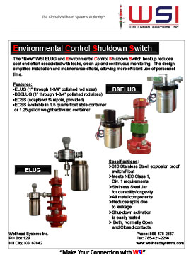 ECSS Flyer 1qt 1.25gal